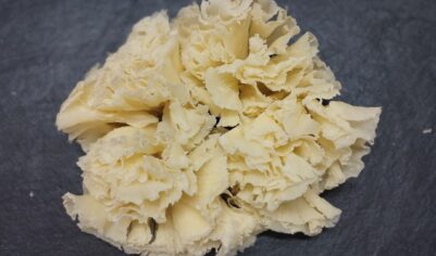 Fleurs des Volcans Fermier Lait Cru 100G